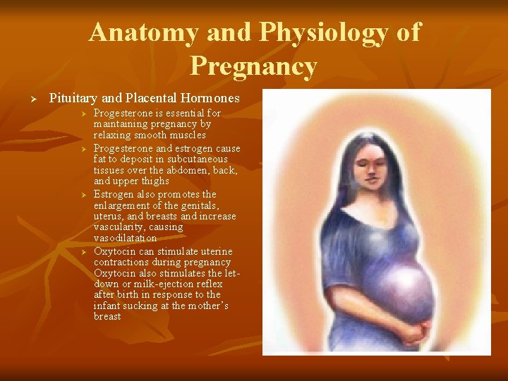 Anatomy and Physiology of Pregnancy Ø Pituitary and Placental Hormones Ø Ø Progesterone is