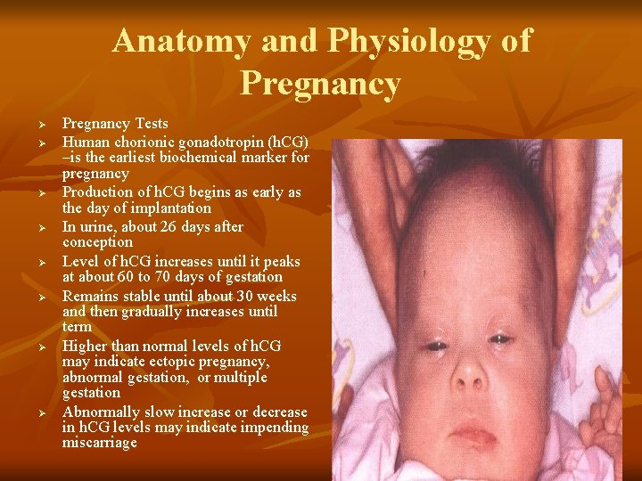 Anatomy and Physiology of Pregnancy Ø Ø Ø Ø Pregnancy Tests Human chorionic gonadotropin