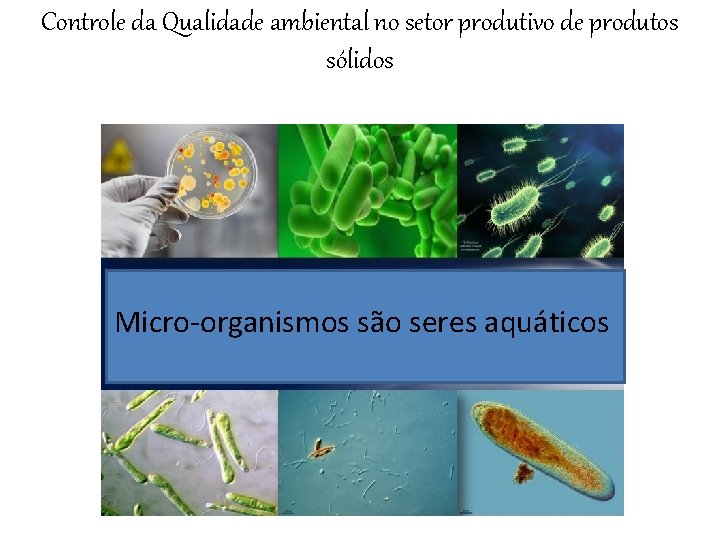 Controle da Qualidade ambiental no setor produtivo de produtos sólidos Micro-organismos são seres aquáticos