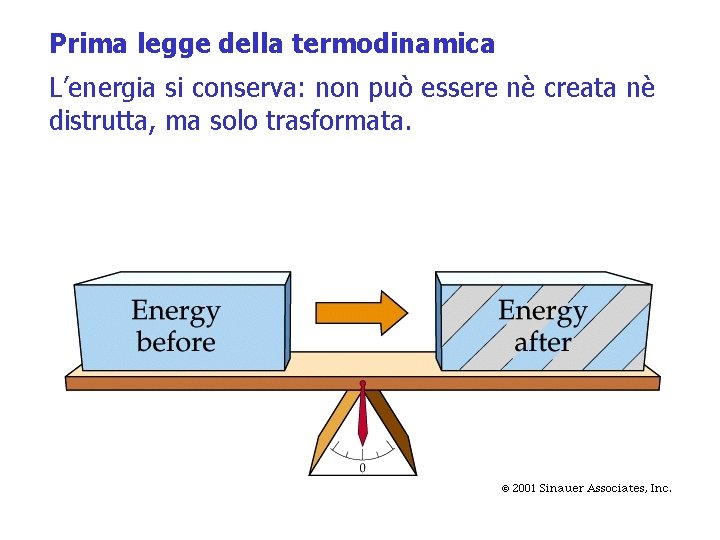 Prima legge della termodinamica L’energia si conserva: non può essere nè creata nè distrutta,