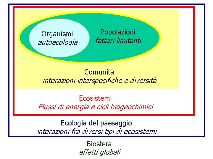 Organismi autoecologia Popolazioni fattori limitanti Comunità interazioni interspecifiche e diversità Ecosistemi Flussi di energia
