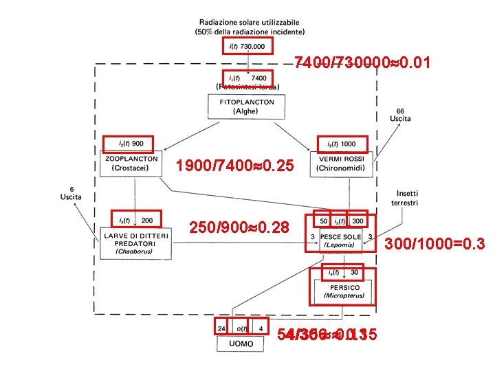 7400/730000 0. 01 1900/7400 0. 25 250/900 0. 28 54/356 0. 15 4/30 0.