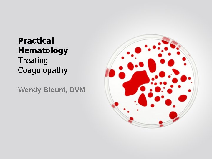 Practical Hematology Treating Coagulopathy Wendy Blount, DVM 