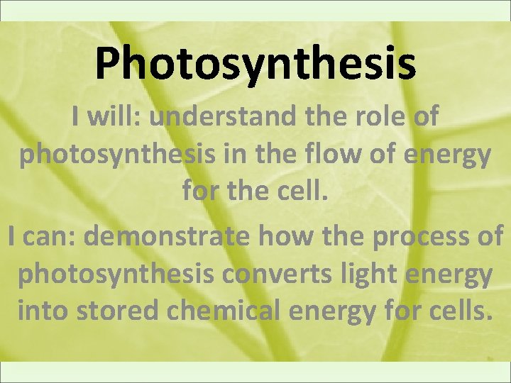 Photosynthesis I will: understand the role of photosynthesis in the flow of energy for