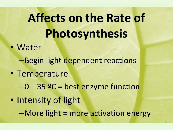 Affects on the Rate of Photosynthesis • Water – Begin light dependent reactions •