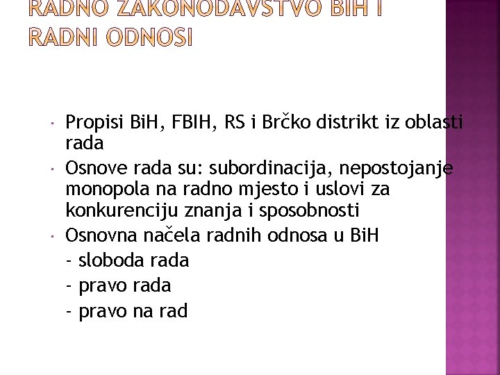  Propisi Bi. H, FBIH, RS i Brčko distrikt iz oblasti rada Osnove rada