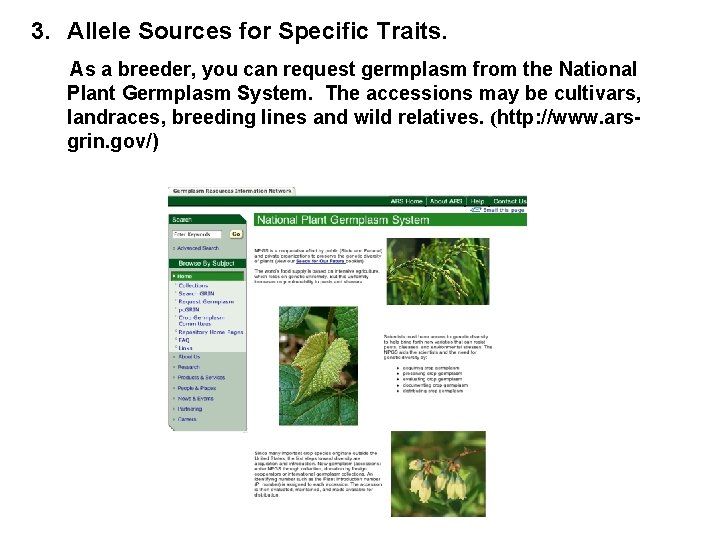 3. Allele Sources for Specific Traits. As a breeder, you can request germplasm from