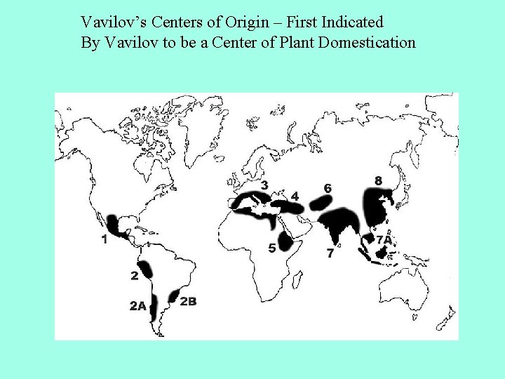 Vavilov’s Centers of Origin – First Indicated By Vavilov to be a Center of