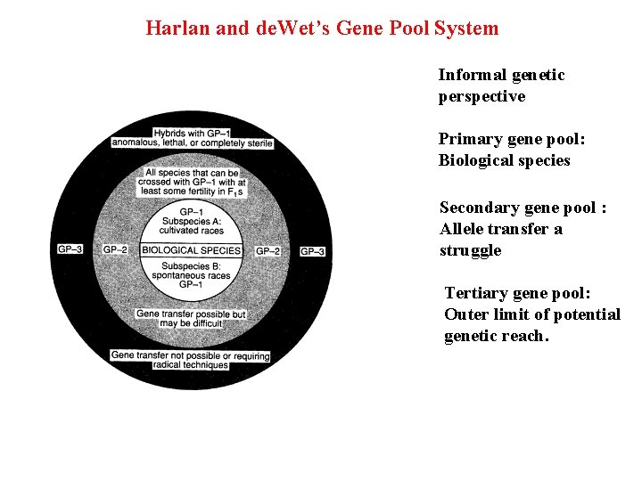 Harlan and de. Wet’s Gene Pool System Informal genetic perspective Primary gene pool: Biological