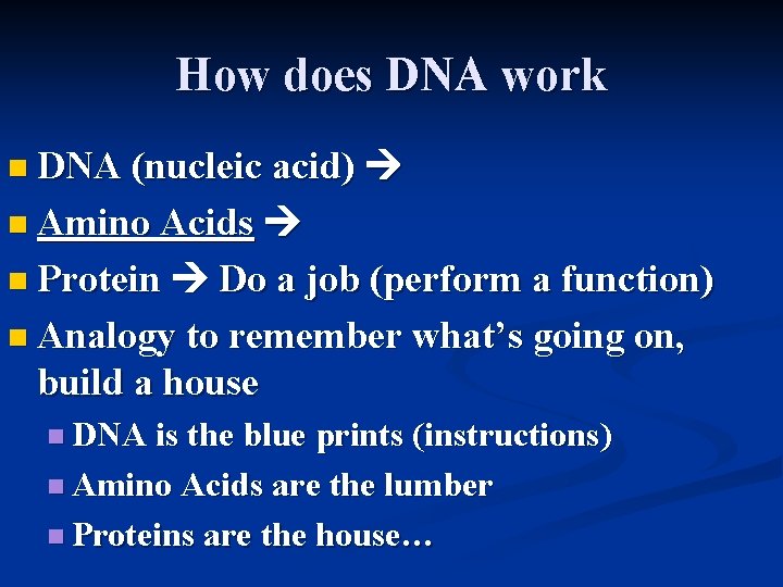 How does DNA work n DNA (nucleic acid) n Amino Acids n Protein Do