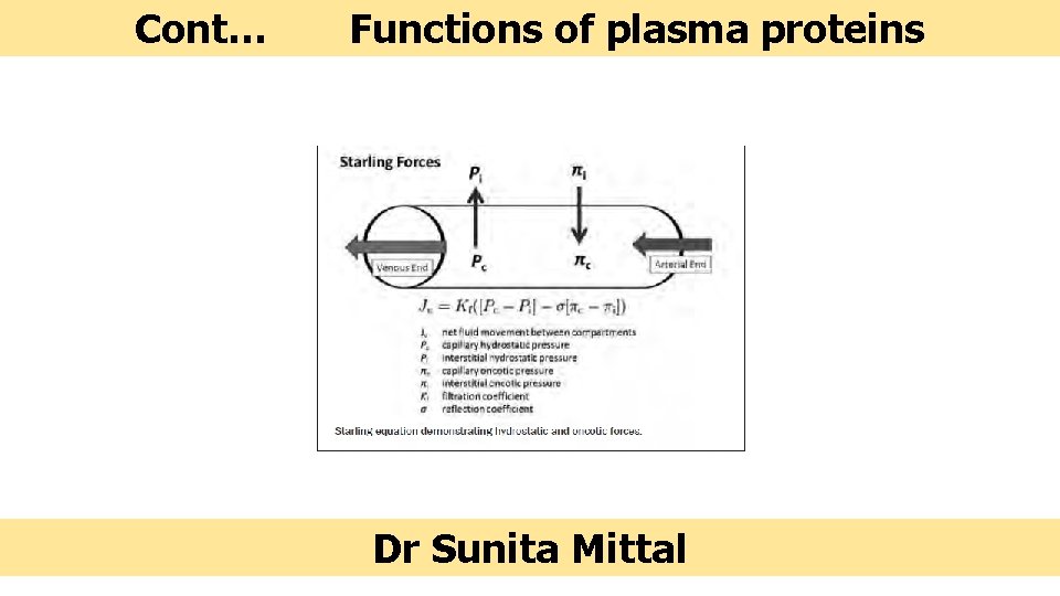 Cont… Functions of plasma proteins Dr Sunita Mittal 