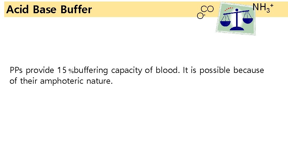 Acid Base Buffer CO O- NH 3+ PPs provide 15 %buffering capacity of blood.