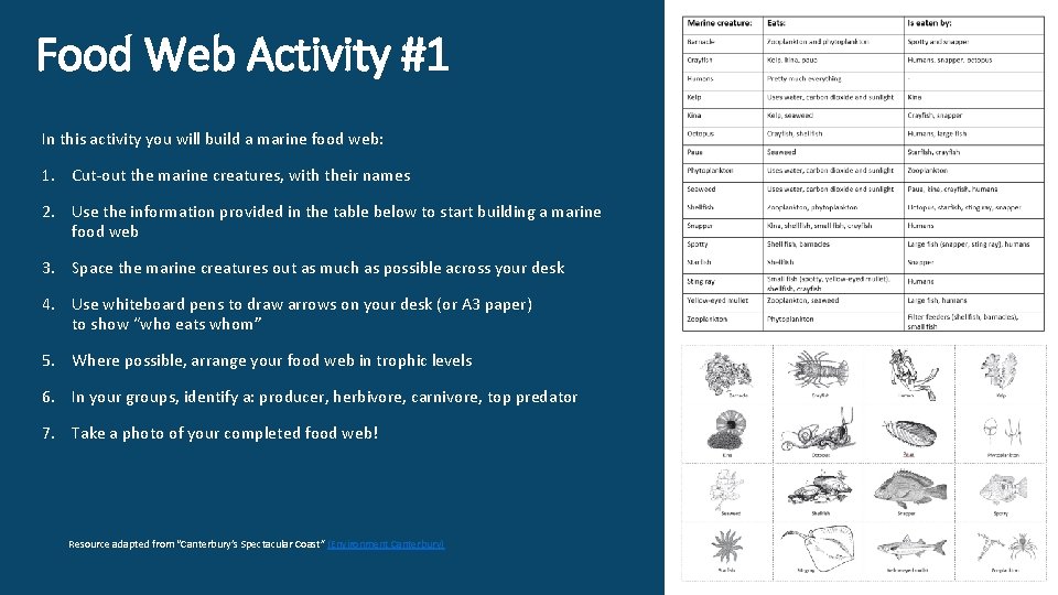 Food Web Activity #1 In this activity you will build a marine food web:
