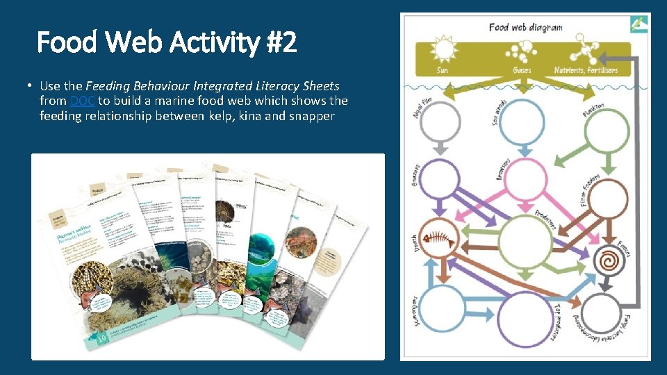 Food Web Activity #2 • Use the Feeding Behaviour Integrated Literacy Sheets from DOC