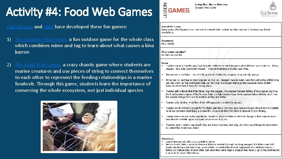 Activity #4: Food Web Games Fish Forever and EMR have developed these fun games: