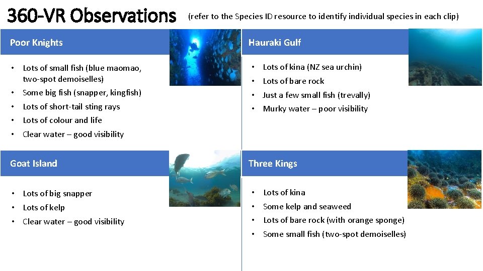 360 -VR Observations (refer to the Species ID resource to identify individual species in