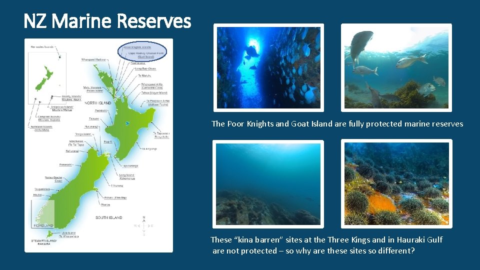 NZ Marine Reserves The Poor Knights and Goat Island are fully protected marine reserves