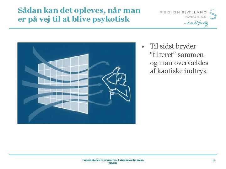 Sådan kan det opleves, når man er på vej til at blive psykotisk •