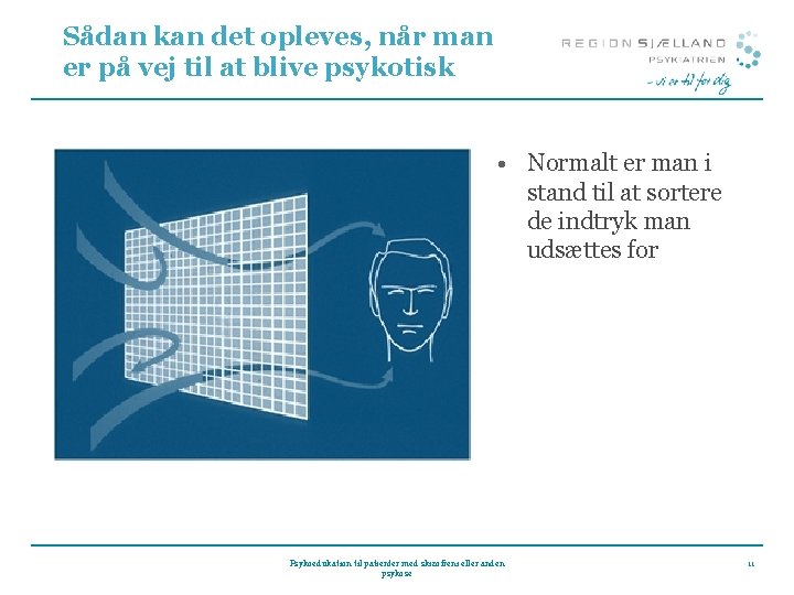 Sådan kan det opleves, når man er på vej til at blive psykotisk •
