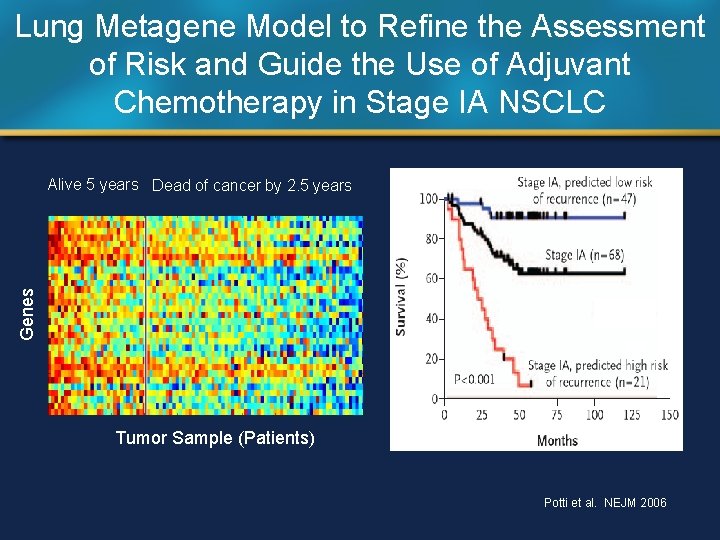 Lung Metagene Model to Refine the Assessment of Risk and Guide the Use of