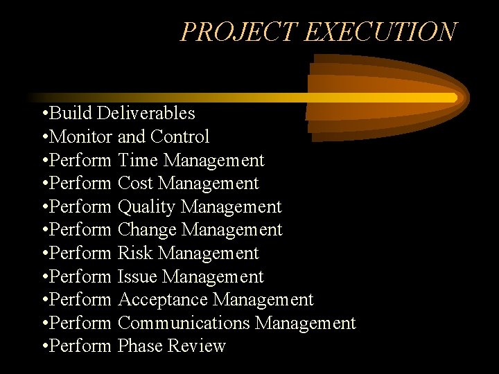 PROJECT EXECUTION • Build Deliverables • Monitor and Control • Perform Time Management •