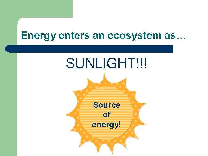 Energy enters an ecosystem as… SUNLIGHT!!! Source of energy! 