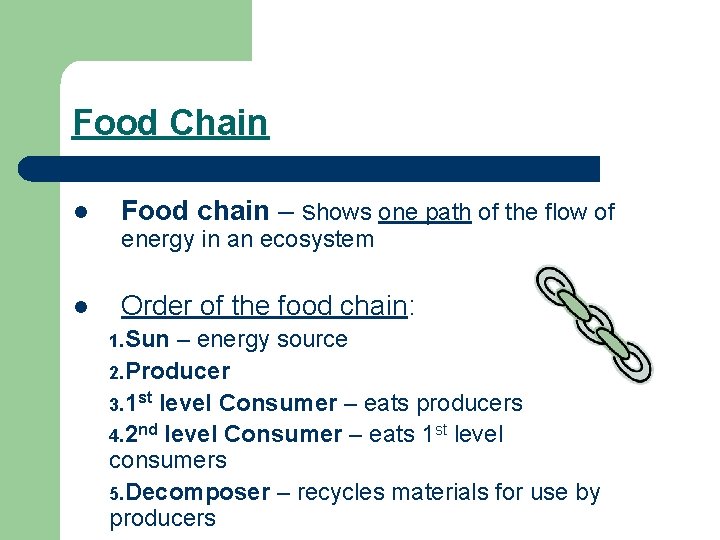 Food Chain l Food chain – shows one path of the flow of energy