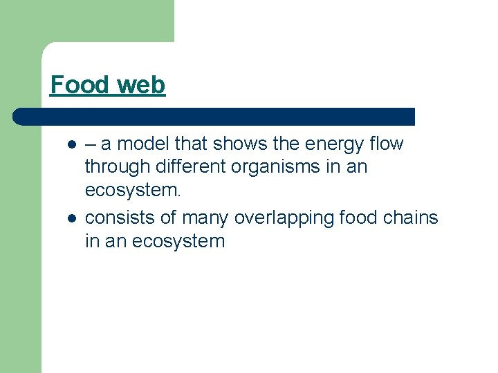 Food web l l – a model that shows the energy flow through different