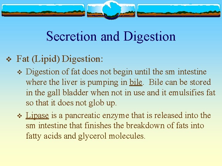 Secretion and Digestion v Fat (Lipid) Digestion: v v Digestion of fat does not