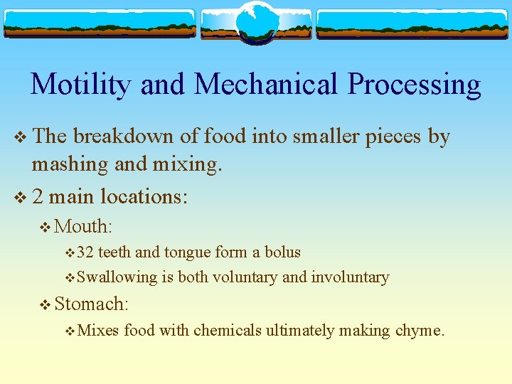 Motility and Mechanical Processing v The breakdown of food into smaller pieces by mashing