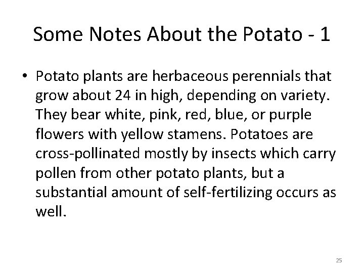 Some Notes About the Potato - 1 • Potato plants are herbaceous perennials that