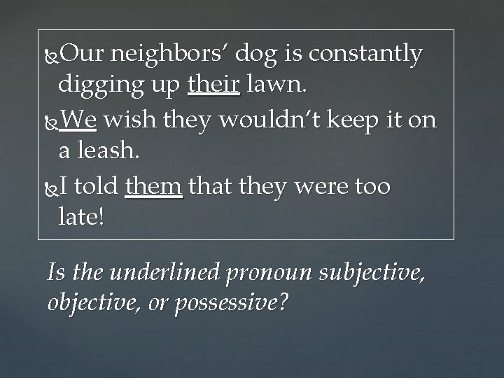 Our neighbors’ dog is constantly digging up their lawn. We wish they wouldn’t keep