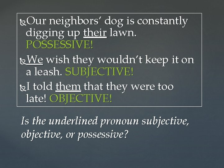 Our neighbors’ dog is constantly digging up their lawn. POSSESSIVE! We wish they wouldn’t