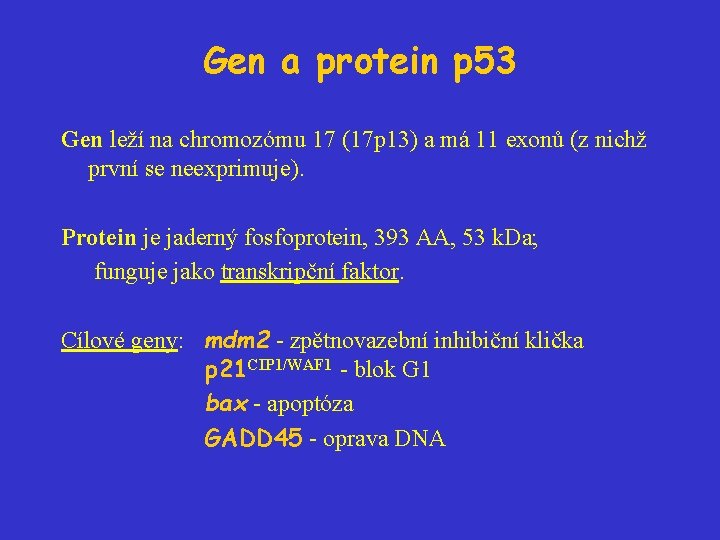 Gen a protein p 53 Gen leží na chromozómu 17 (17 p 13) a