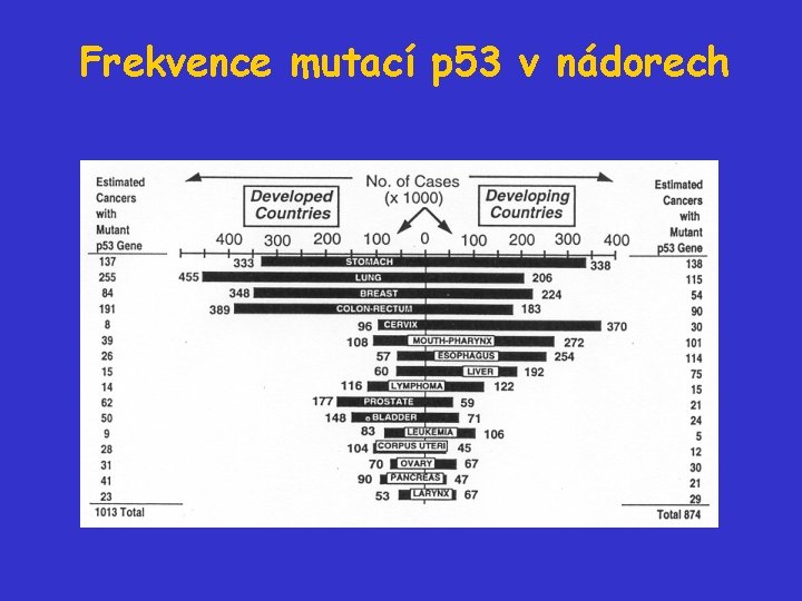 Frekvence mutací p 53 v nádorech 