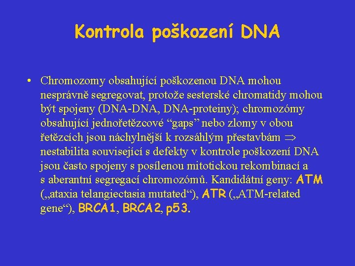 Kontrola poškození DNA • Chromozomy obsahující poškozenou DNA mohou nesprávně segregovat, protože sesterské chromatidy