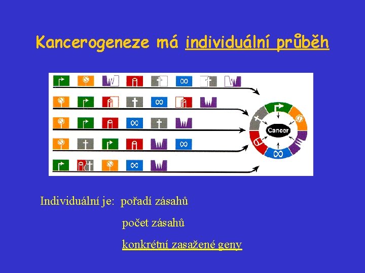 Kancerogeneze má individuální průběh Individuální je: pořadí zásahů počet zásahů konkrétní zasažené geny 