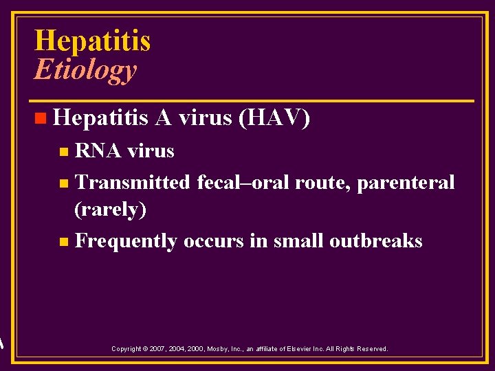 Hepatitis Etiology n Hepatitis A virus (HAV) RNA virus n Transmitted fecal–oral route, parenteral