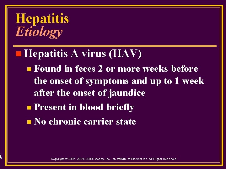 Hepatitis Etiology n Hepatitis A virus (HAV) Found in feces 2 or more weeks