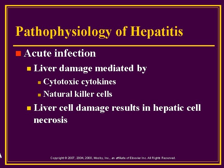 Pathophysiology of Hepatitis n Acute n infection Liver damage mediated by Cytotoxic cytokines n