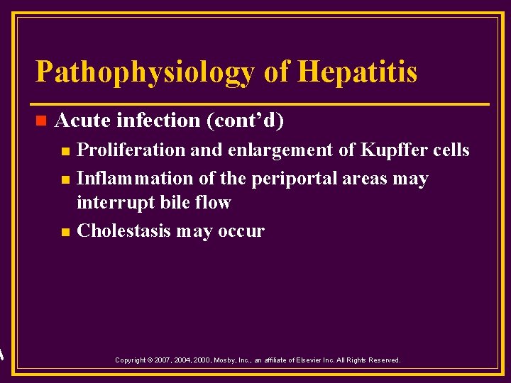 Pathophysiology of Hepatitis n Acute infection (cont’d) n n n Proliferation and enlargement of