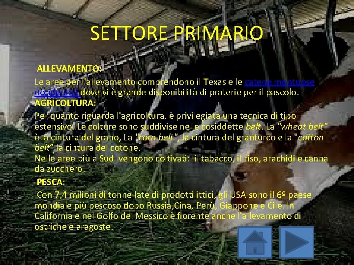 SETTORE PRIMARIO ALLEVAMENTO: Le aree per l'allevamento comprendono il Texas e le catene montuose