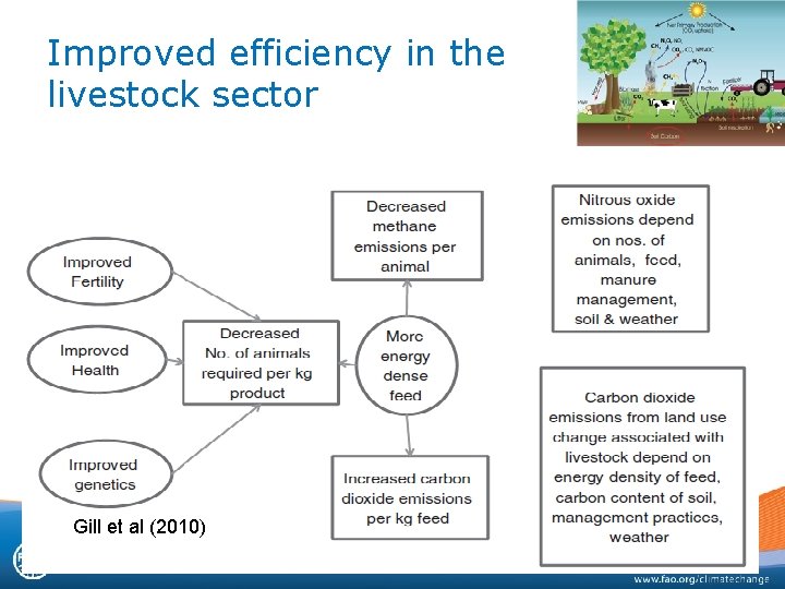 Improved efficiency in the livestock sector Gill et al. (2010) Gill et al (2010)