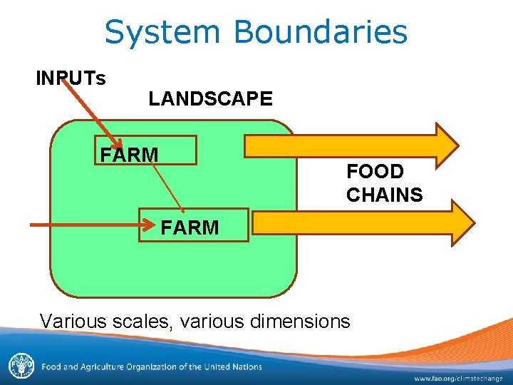 System Boundaries INPUTs LANDSCAPE FARM FOOD CHAINS FARM Various scales, various dimensions 