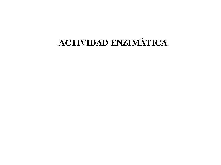 ACTIVIDAD ENZIMÁTICA 