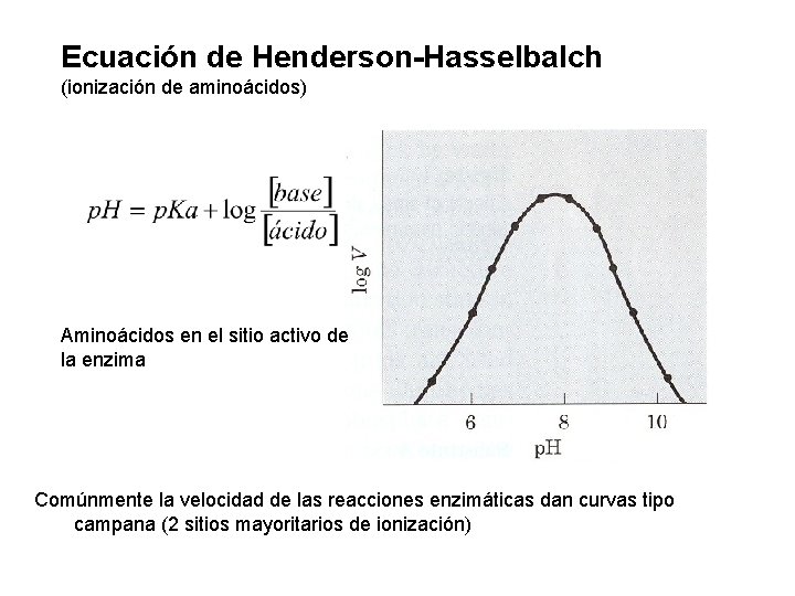 Ecuación de Henderson-Hasselbalch (ionización de aminoácidos) Aminoácidos en el sitio activo de la enzima