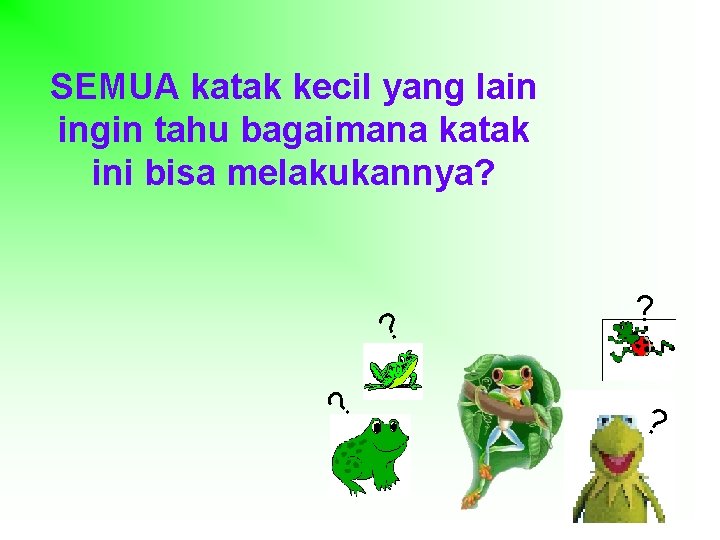 SEMUA katak kecil yang lain ingin tahu bagaimana katak ini bisa melakukannya? ? ?