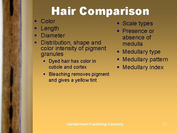 § § Hair Comparison Color Length Diameter Distribution, shape and color intensity of pigment