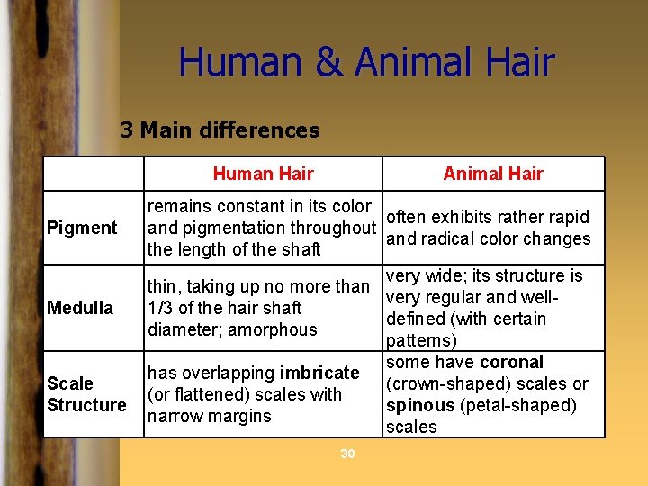 Human & Animal Hair 3 Main differences Human Hair Pigment Medulla Scale Structure Animal