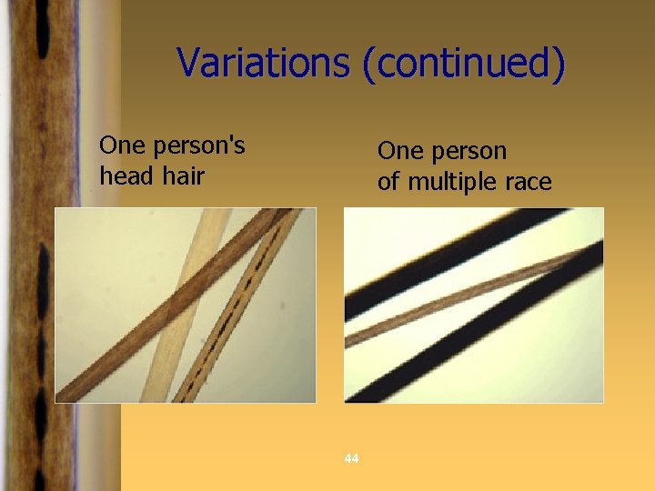 Variations (continued) One person's head hair One person of multiple race 44 